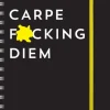 2025 Carpe F*cking Diem Planner: August 2024-December 2025 (Kalender, Calendar, Engelsk) af Sourcebooks