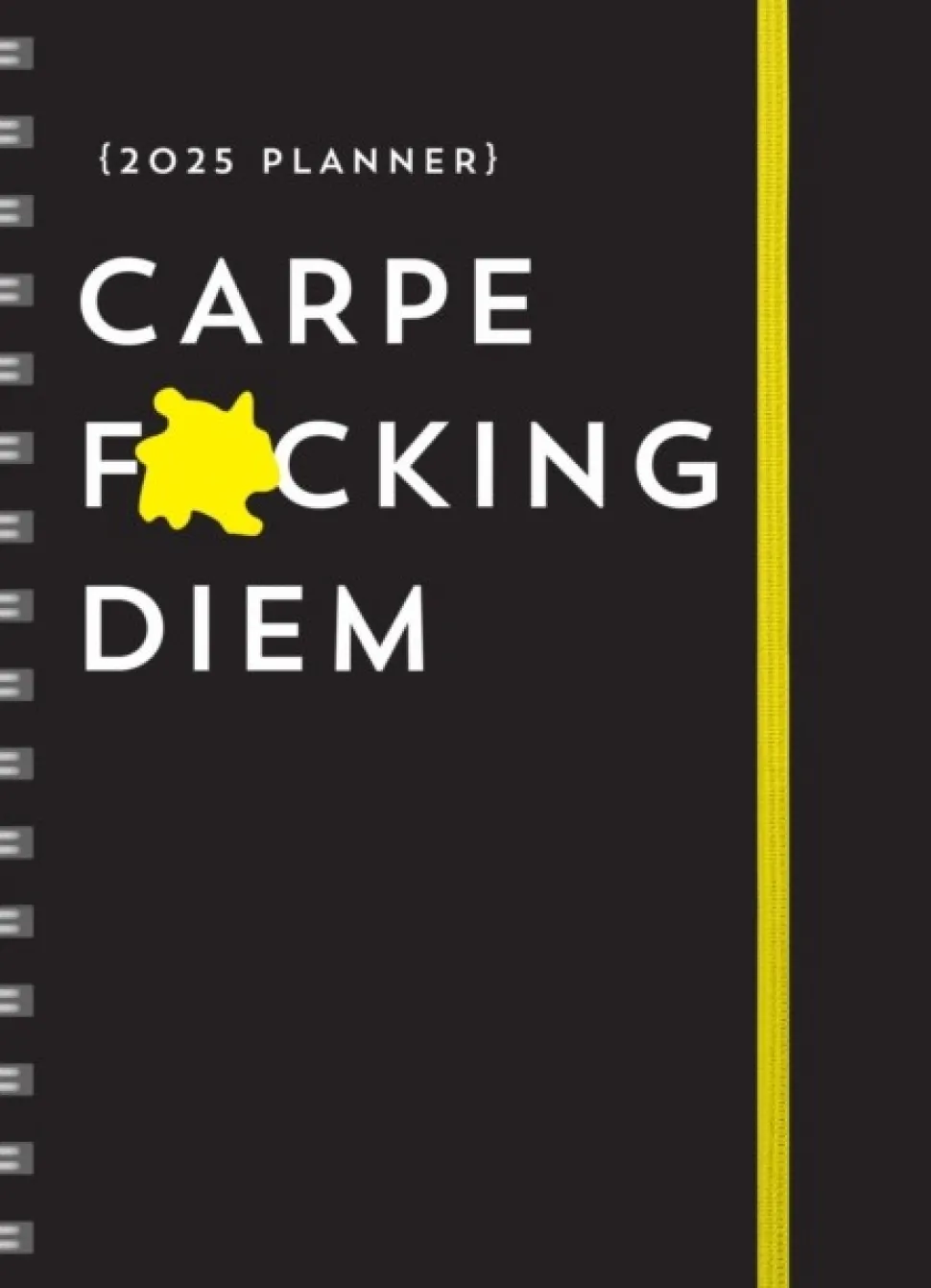 2025 Carpe F*cking Diem Planner: August 2024-December 2025 (Kalender, Calendar, Engelsk) af Sourcebooks