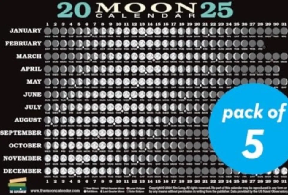 2025 Moon Calendar Card (5 pack): Lunar Phases, Eclipses, and More! (Other merchandise, Spansk) af Kim Long