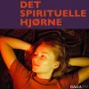15. Opskrift på Goldenmilk (Lydbog, zip_mp3, Dansk) af Annasophia Petri