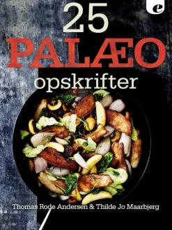 25 palæoopskrifter (Ebog, epub, Dansk) af Thomas Rode Andersen