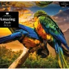Amazing Puzzle - Papegøje (Spil)