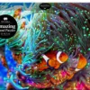 Amazing Puzzle - Round - Fisk (Spil)