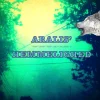 Aralis' hemmelighed (Ebog, epub, Dansk) af Lise Bidstrup