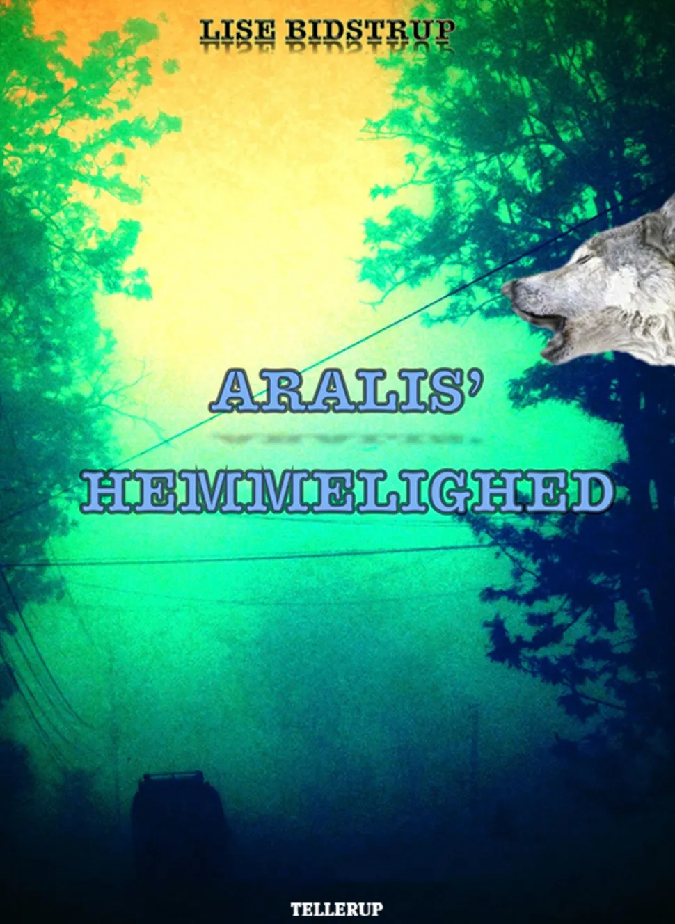 Aralis' hemmelighed (Ebog, epub, Dansk) af Lise Bidstrup