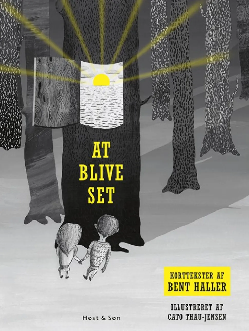 At blive set: Korttekster (Bog, Indbundet, Dansk) af Bent Haller