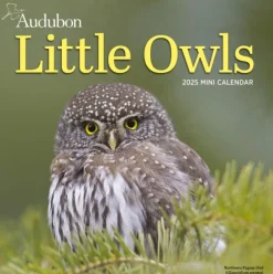 Audubon Little Owls Mini Wall Calendar 2025: A Year of Fluffy and Round Owls (Kalender, Calendar, Engelsk)