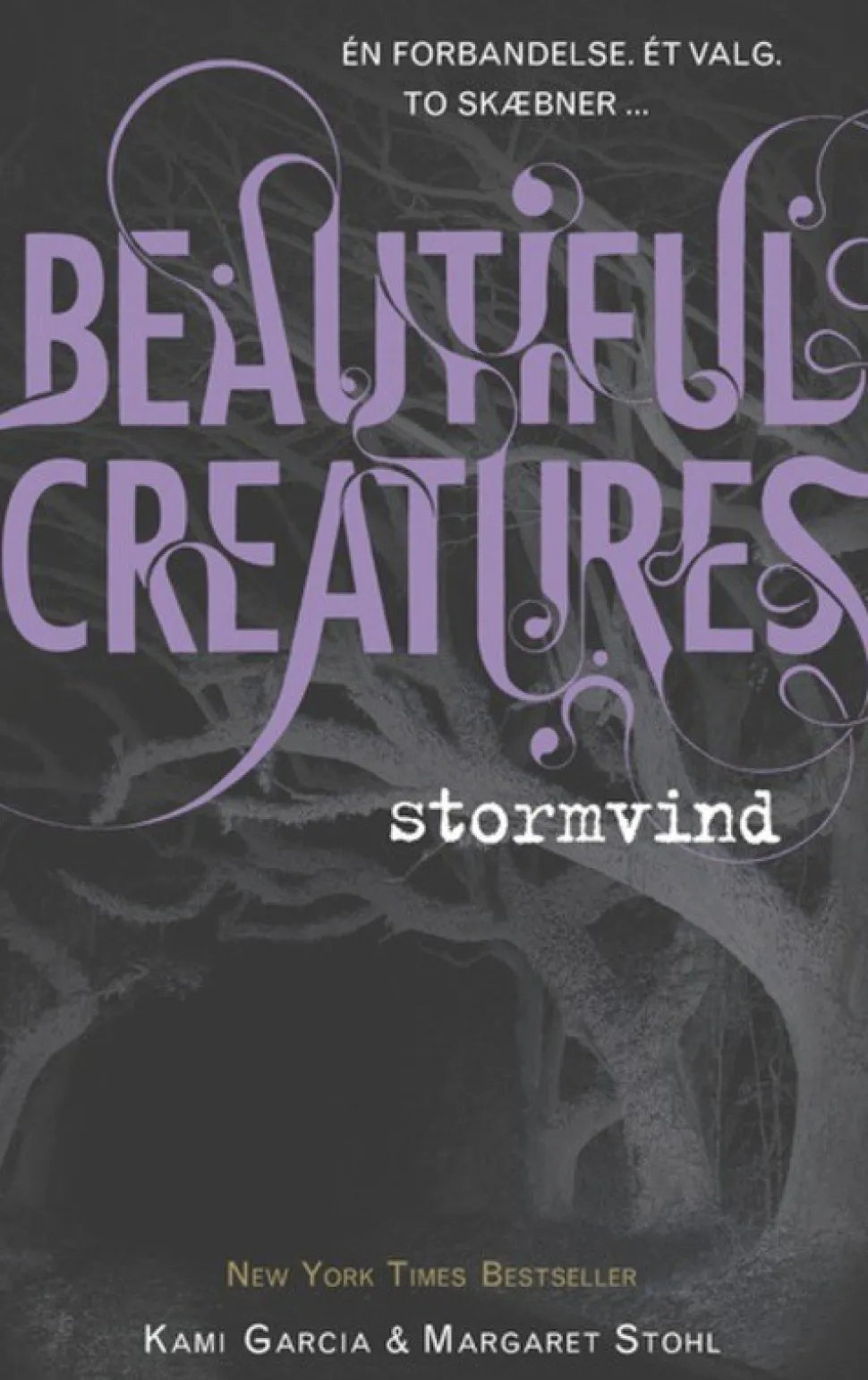 Beautiful Creatures 1 - Stormvind (Lydbog, zip_mp3, Dansk) af Kami Garcia