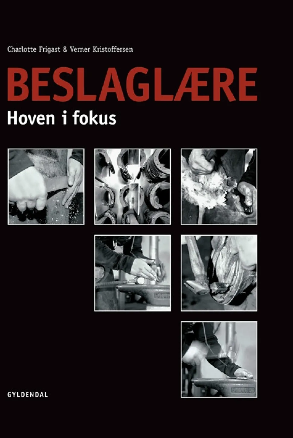 Beslaglære: Hoven i fokus (Bog, Indbundet, Dansk) af Verner Kristoffersen