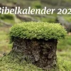 Bibelkalender 2025 (Bog, Spiralryg, Dansk)