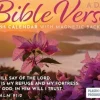 Bible Verse a Day Mini Box Calendar 2025 (Kalender, Calendar, Engelsk) af Carousel Calendars