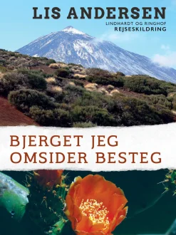 Bjerget jeg omsider besteg (Lydbog, zip_mp3, Dansk) af Lis Andersen