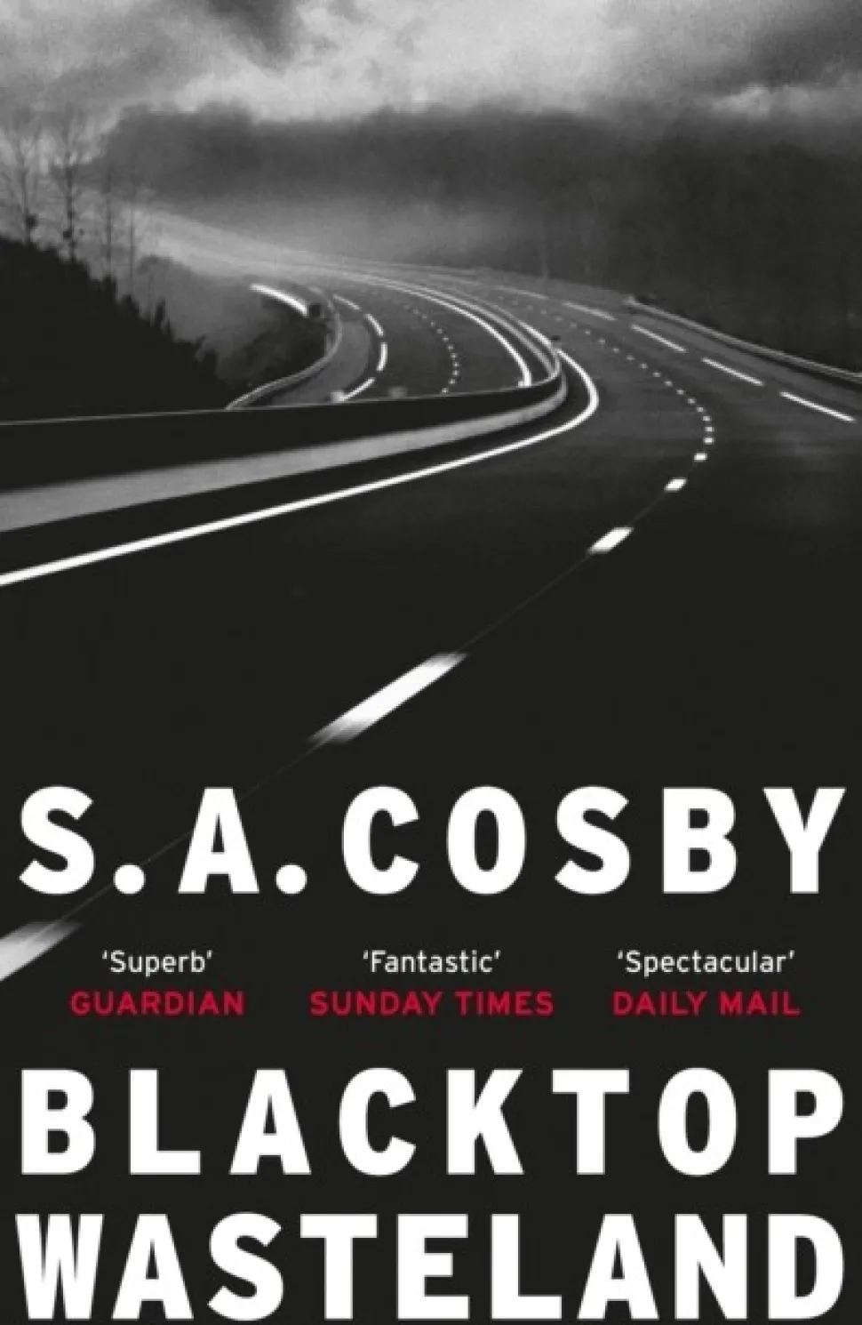 Blacktop Wasteland: the acclaimed and award-winning crime hit of the year (Bog, Paperback / softback, Engelsk) af S. A. Cosby