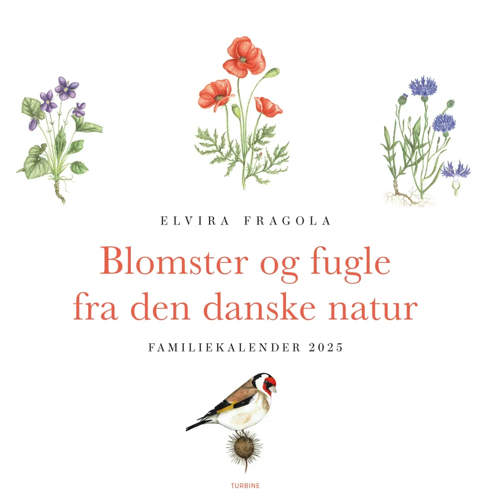 Blomster og fugle fra den danske natur – familiekalender 2025 (Dansk) af Elvira Fragola