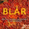 Blår (Ebog, epub, Dansk) af Hugh Howey