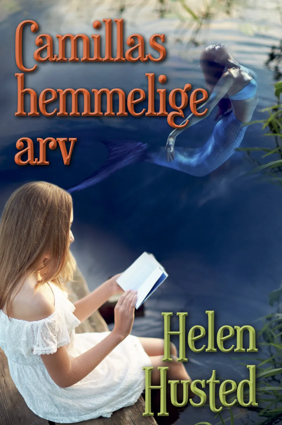 Camillas hemmelige arv (Ebog, epub, Dansk) af Helen Husted