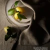 Citroner: Opskrifter fra køkkenet på Garden of Lemons (Bog, Indbundet, Dansk) af Henrik Vilain & Ingo Schauser