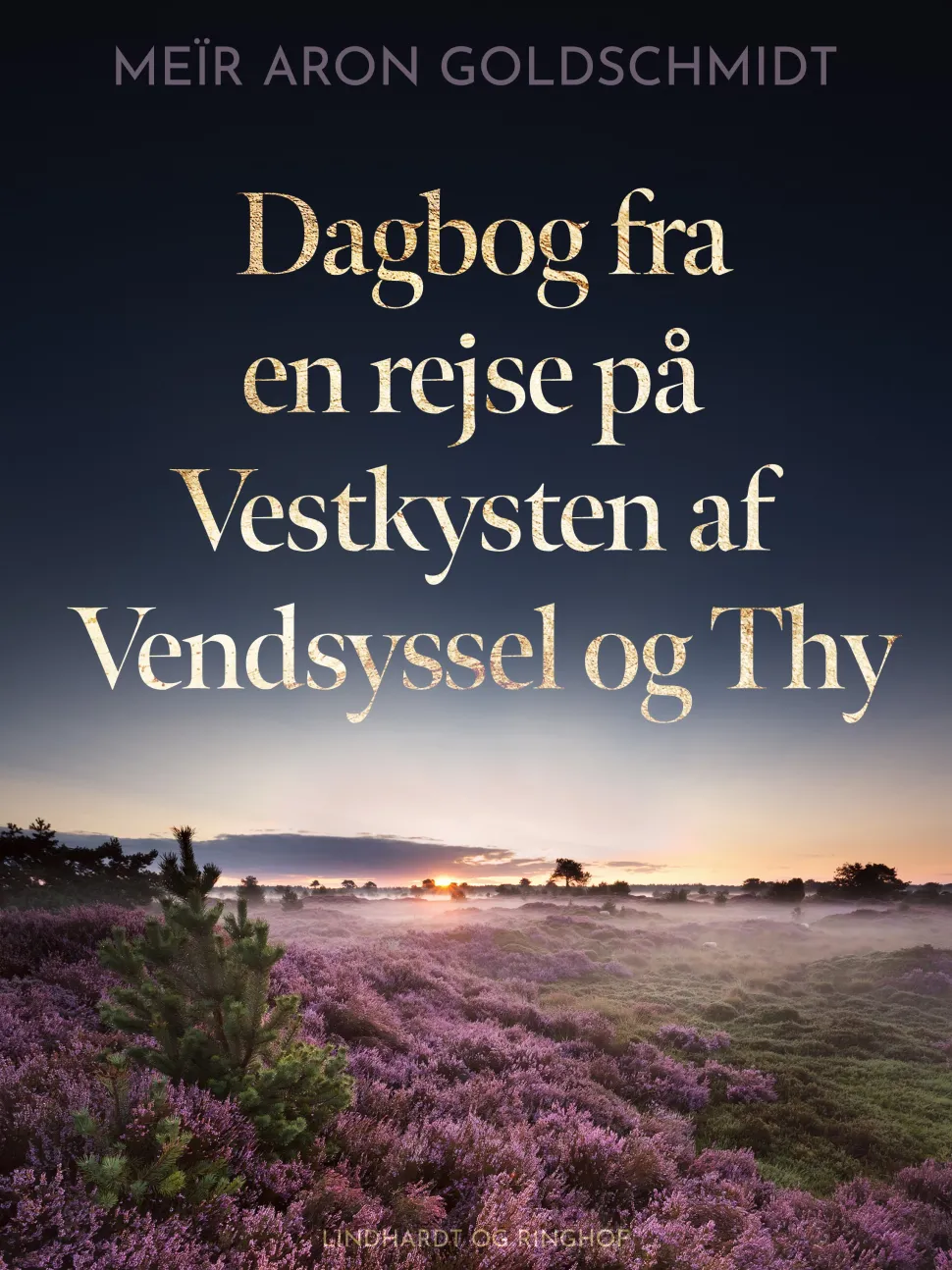 Dagbog fra en rejse på Vestkysten af Vendsyssel og Thy (Ebog, epub, Dansk) af Meir Aron Goldschmidt
