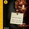 Davidsstjerner (Lydbog, zip_mp3, Dansk) af Kristina Ohlsson
