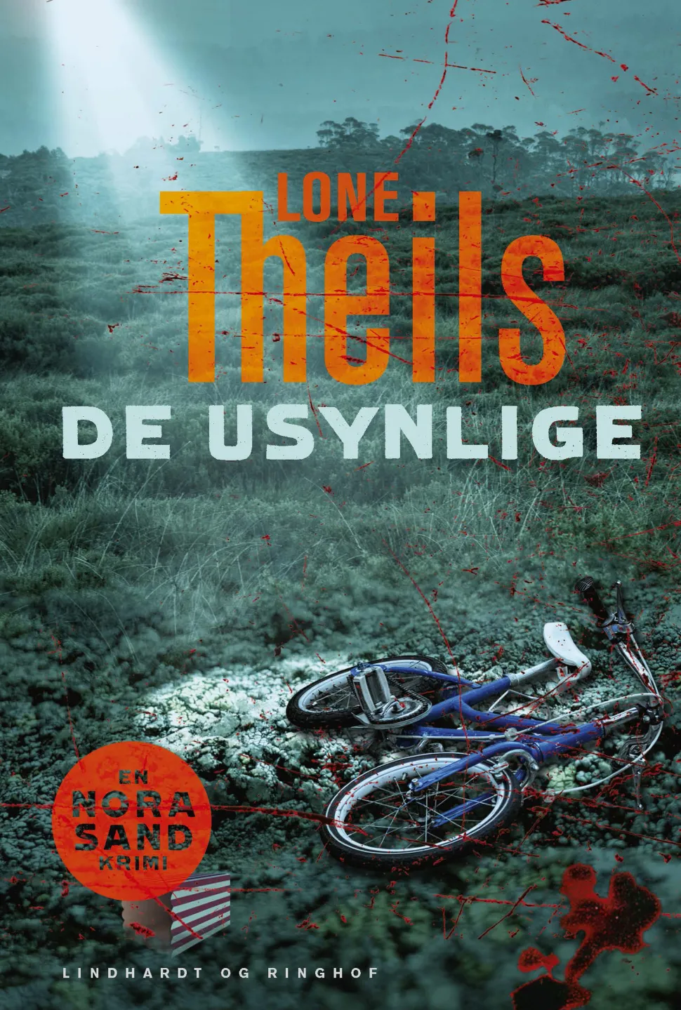 De usynlige (Ebog, epub, Dansk) af Lone Theils