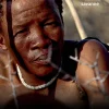 Den største safari: I begyndelsen var Afrika – historier om livets udvikling set genn... (Ebog, epub, Dansk)