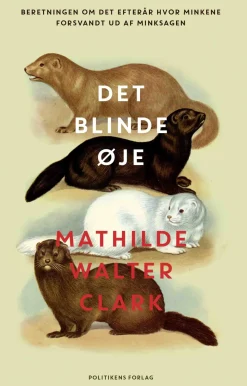 Det blinde øje (Ebog, epub, Dansk) af Mathilde Walter Clark