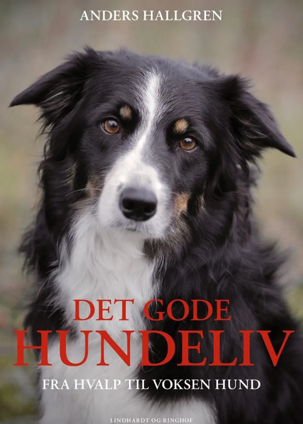 Det gode hundeliv (Bog, Indbundet, Dansk) af Anders Hallgren