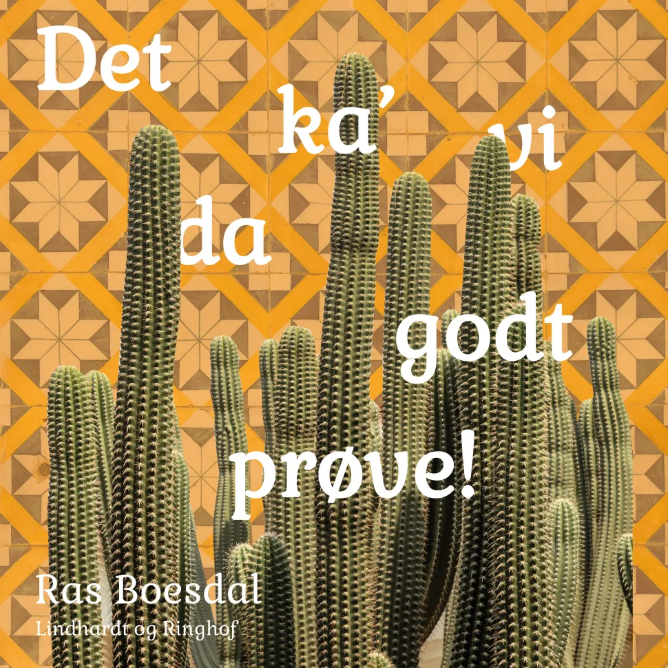 Det ka' vi da godt prøve! (Lydbog, zip_mp3, Dansk) af Ras Boesdal