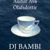 DJ Bambi (Bog, Hæftet, Dansk) af Audur Ava Ólafsdóttir