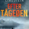 Efter Tågeøen (Bog, Hæftet, Dansk) af Mariette Lindstein