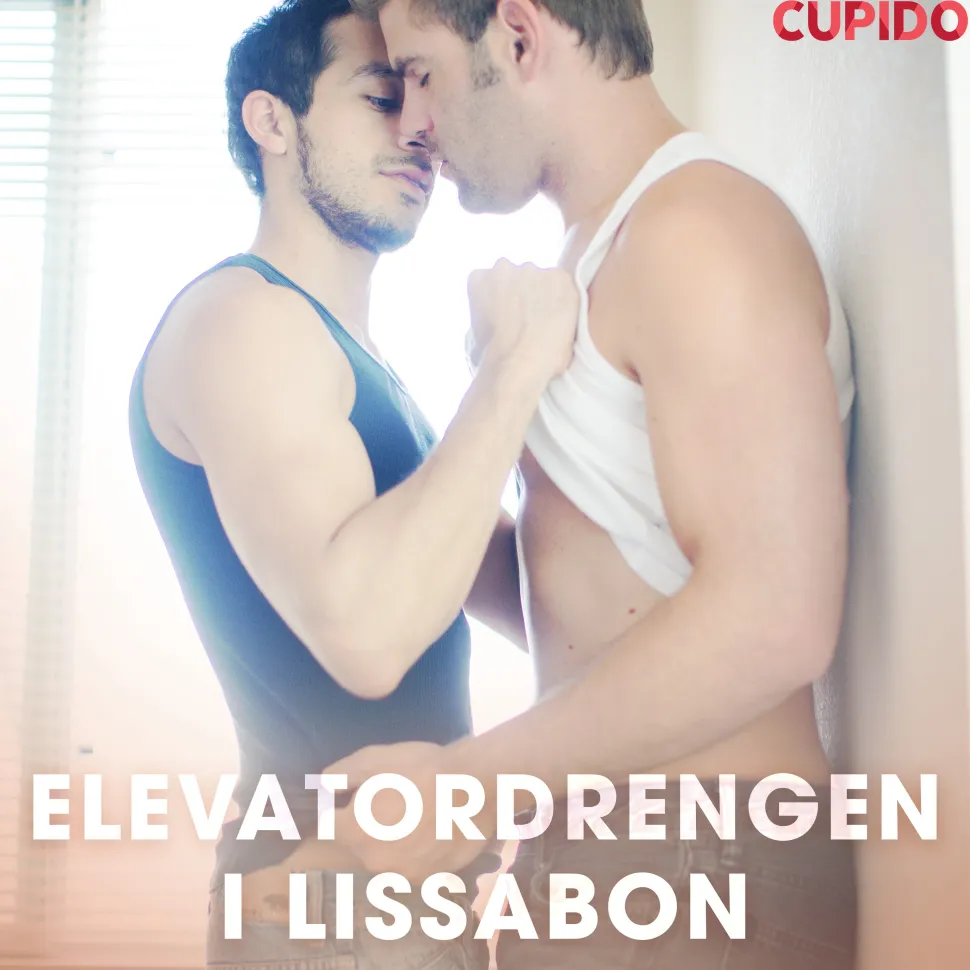 Elevatordrengen i Lissabon (Lydbog, zip_mp3, Dansk) af Cupido And Others
