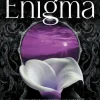 Enigma (Bog, Paperback / softback, Engelsk) af RuNyx