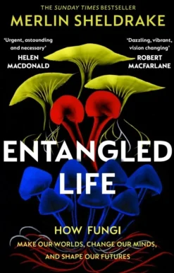 Entangled Life: How Fungi Make Our Worlds, Change Our Minds and Shape Our Futures (Bog, Paperback / softback, Engelsk)