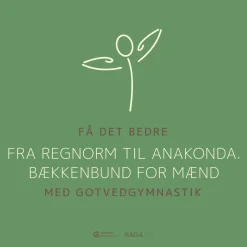 Få det bedre med Gotvedgymnastik. Fra regnorm til Anakonda. Bækkenbund for mænd (Lydbog, zip_mp3, Dansk) af Gotvedinstituttet