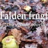 Falden frugt: lavthængende noveller (Ebog, epub, Dansk) af Lars Koch