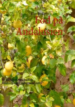 Fod på Andalusien: 40 udflugter med indlagt vandring i den sydspanske natur (Ebog, epub, Dansk) af Else Byskov