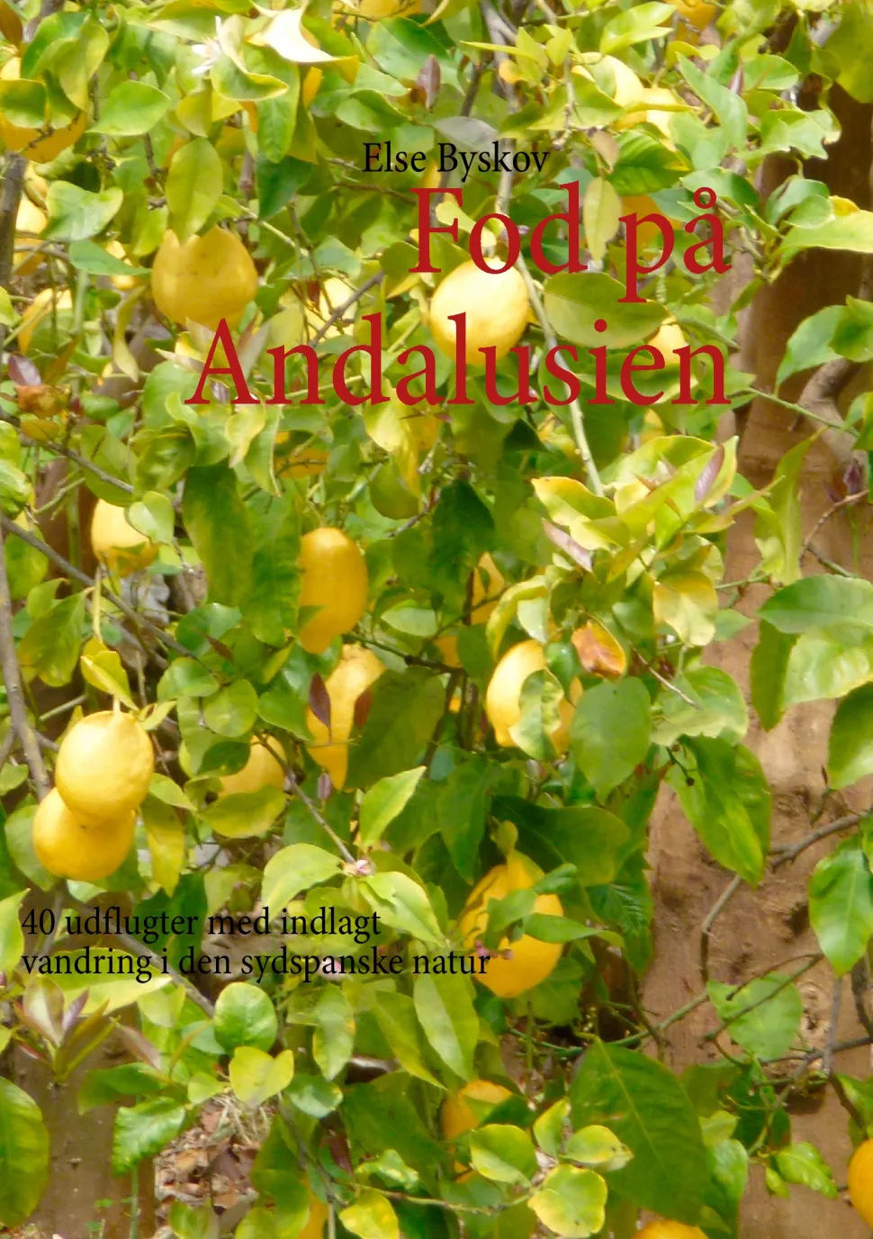 Fod på Andalusien: 40 udflugter med indlagt vandring i den sydspanske natur (Ebog, epub, Dansk) af Else Byskov