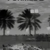 Formel 1: Af dem der var der (Bog, Indbundet, Dansk) af Peter Nygaard