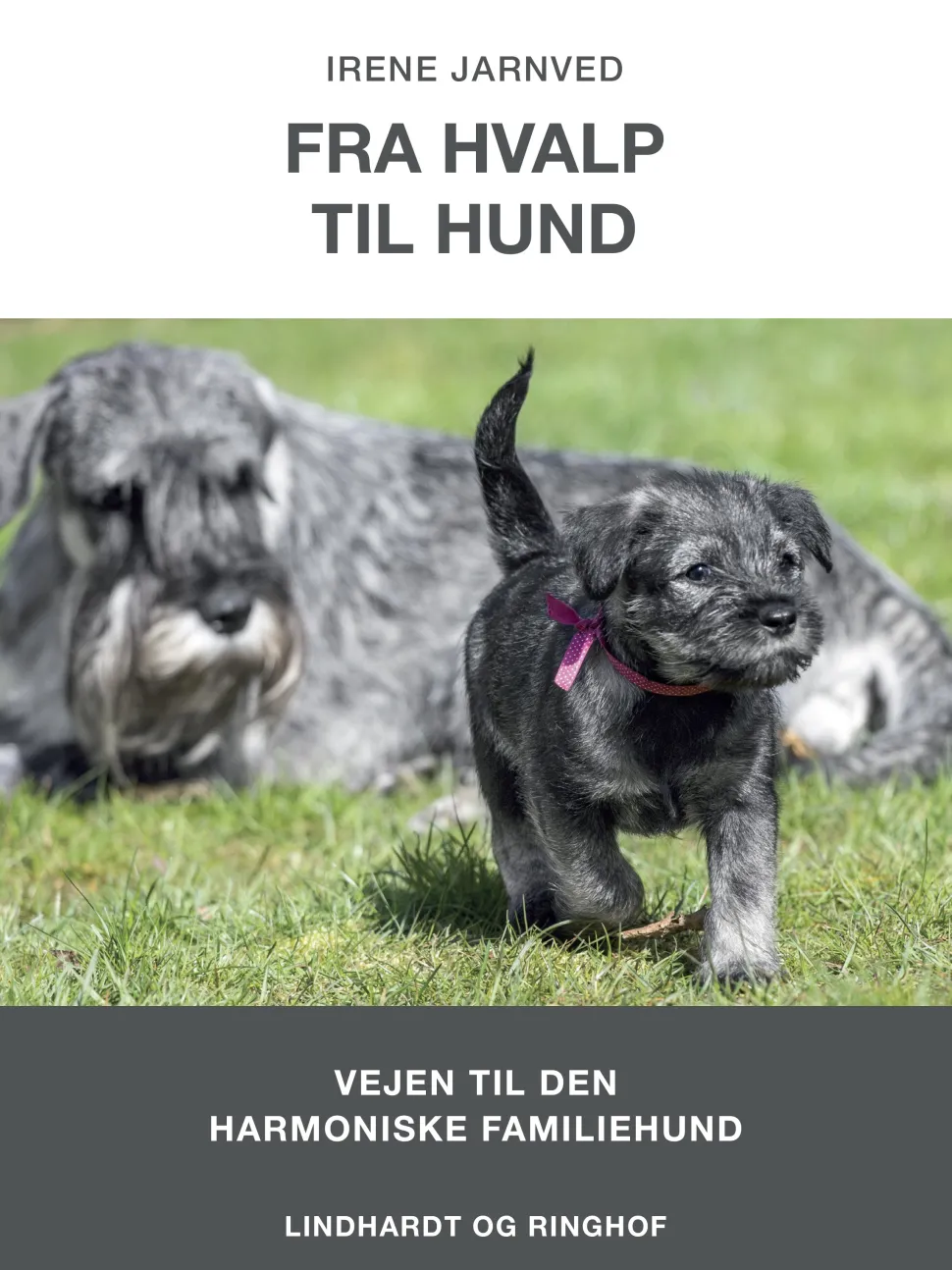 Fra hvalp til hund (Ebog, epub, Dansk) af Irene Jarnved