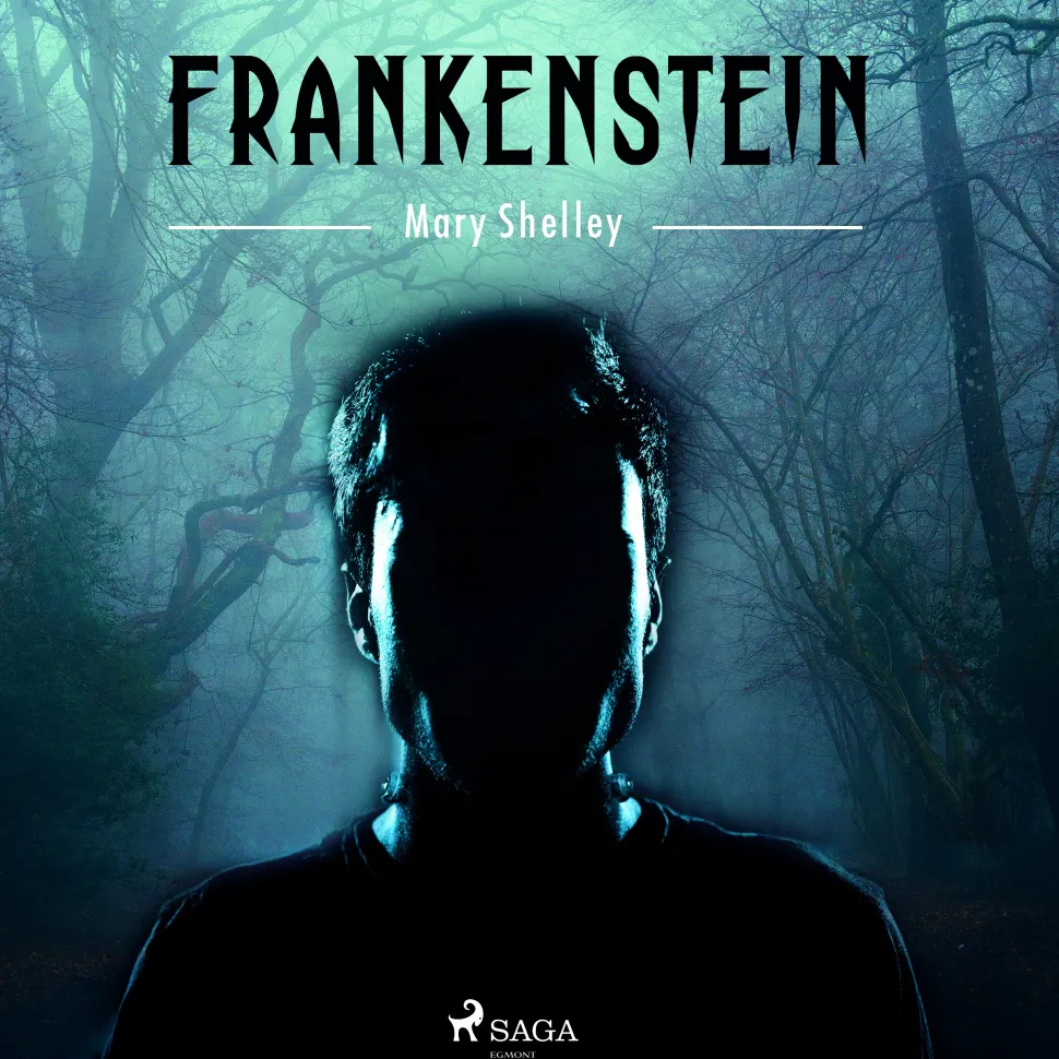 Frankenstein (Lydbog, zip_mp3, Spansk) af Mary Shelley