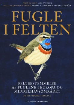 Fugle i felten (Bog, Hæftet, Dansk) af Killian Mullarney
