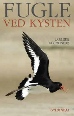 Fugle ved kysten (Ebog, epub, Dansk) af Ger Meesters
