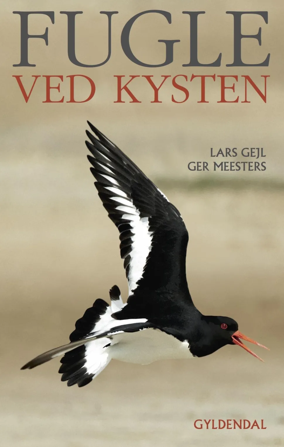 Fugle ved kysten (Ebog, epub, Dansk) af Ger Meesters