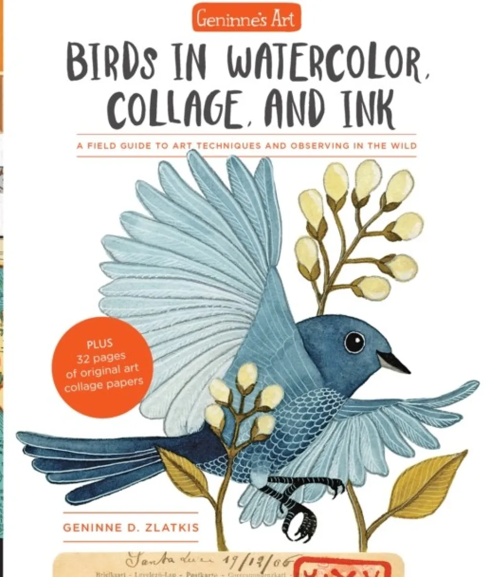 Geninne's Art: Birds in Watercolor, Collage, and Ink: A field guide to art techniques... (Bog, Paperback / softback, Engelsk)