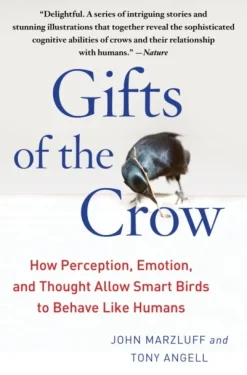 Gifts of the Crow: How Perception, Emotion, and Thought Allow Smart Birds to Behave L... (Bog, Paperback / softback, Engelsk)