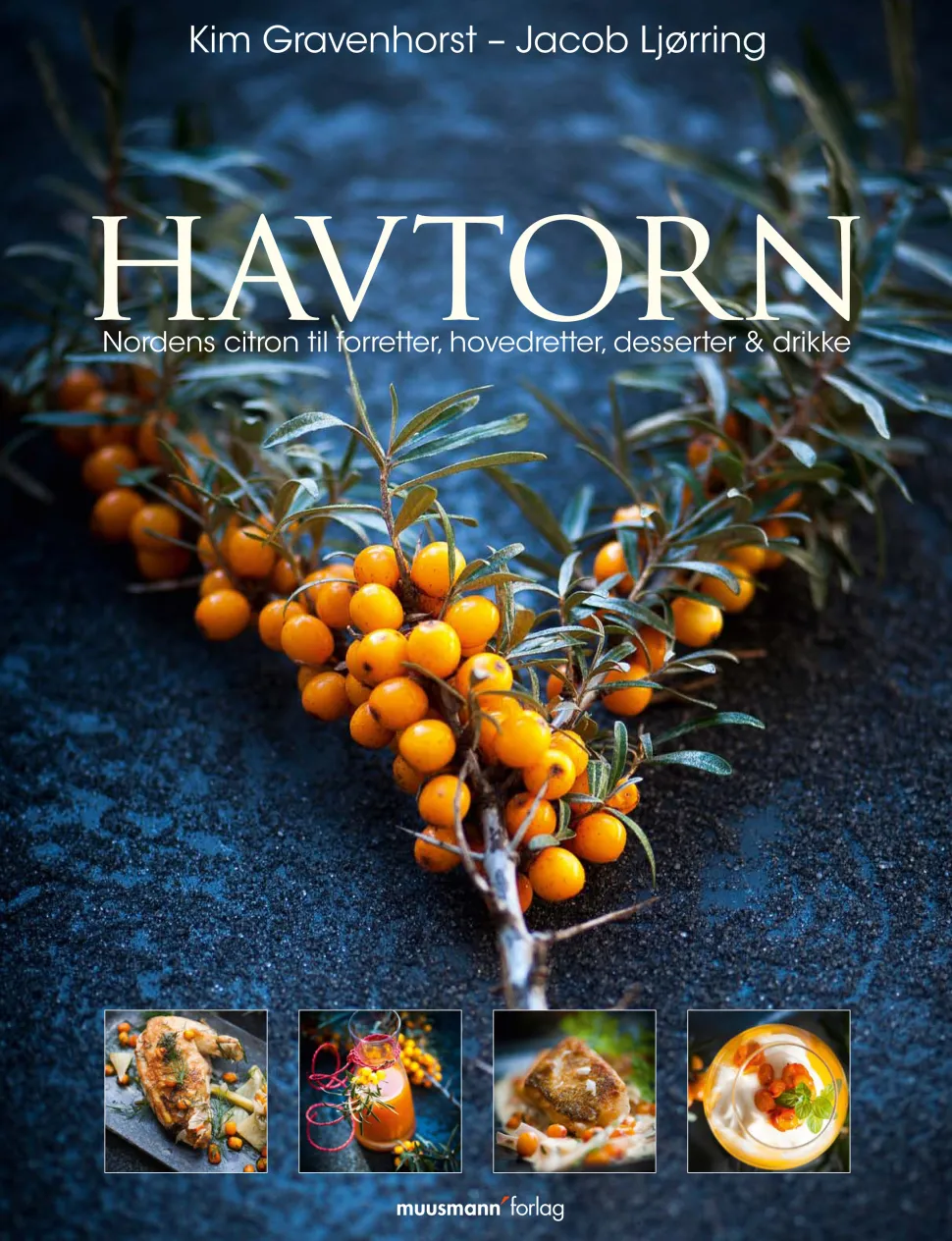 Havtorn: Nordens citron (Ebog, epub, Dansk) af Kim Gravenhorst
