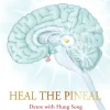 Heal the Pineal: Detox with Hung Song (Bog, Hæftet, Engelsk) af Githa Ben-David