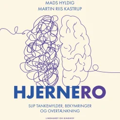 Hjernero (Lydbog, zip_mp3, Dansk) af Martin Riis Kastrup