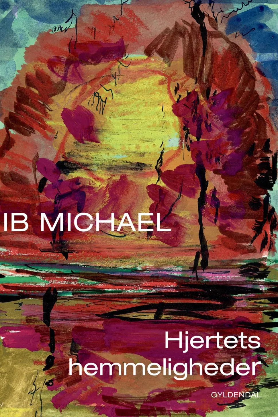 Hjertets hemmeligheder (Ebog, epub, Dansk) af Ib Michael