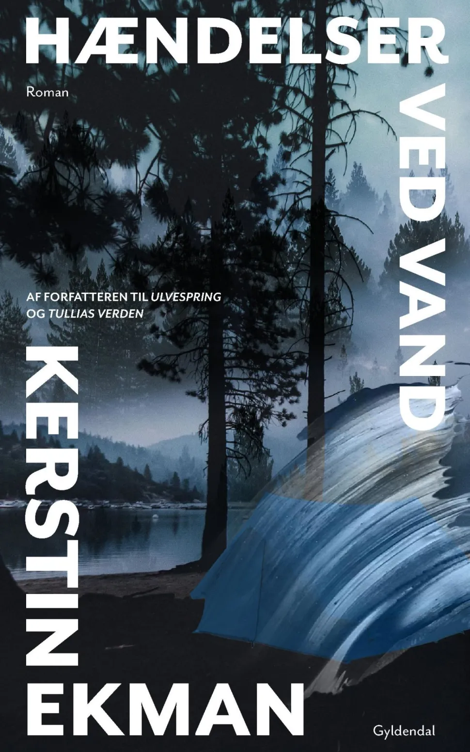 Hændelser ved vand (Ebog, epub, Dansk) af Kerstin Ekman
